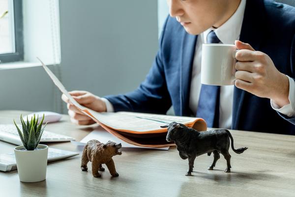 红海行动中的项目管理：从问题到优化的实践探索 图1