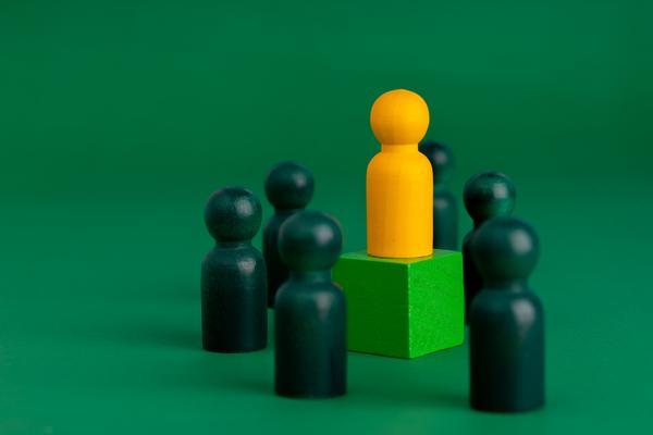 城市公园养护管理|科学养护与可持续发展的实践路径 图2
