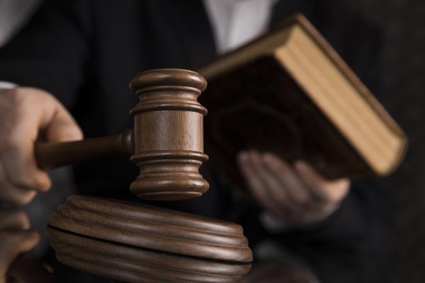 管虎、吴洪亮因犯罪被判刑 图1