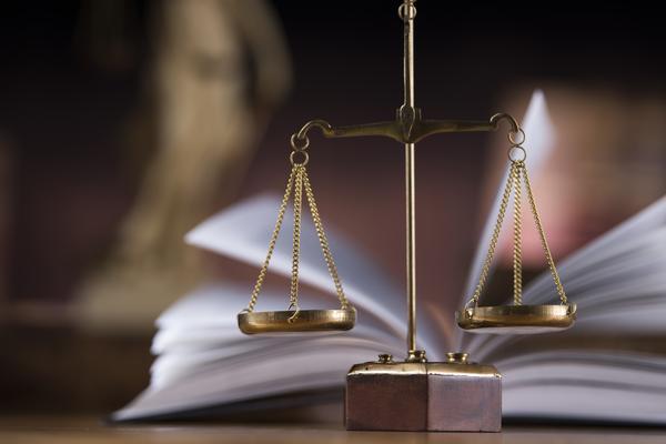 股份制企业章程与工商信息股东不一致问题的研究 图1
