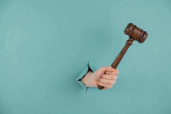 我国重婚罪的定义及法律规定 图1