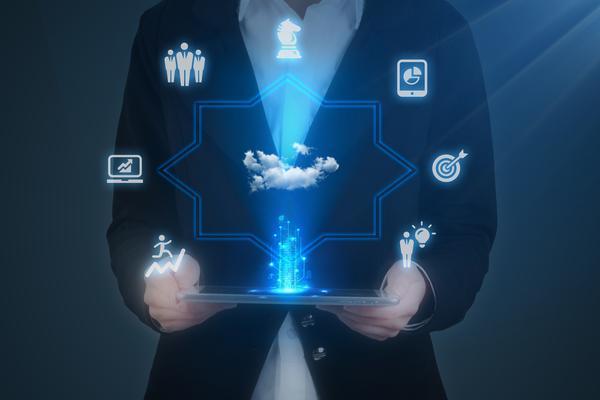 薇诺娜网络营销策略研究 图2