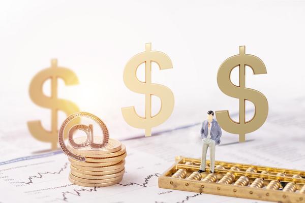 项目投资价值及风险评估报告撰写指南