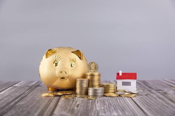 世界十大调味公司排行榜最新|项目融资与调味企业投资机会 图1