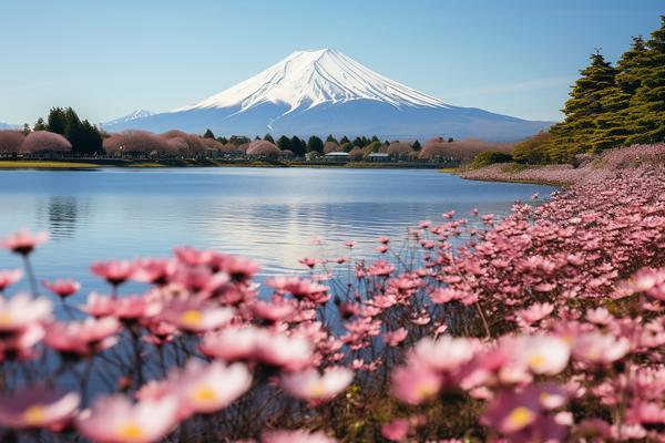 日本干洗店洗毛衣教程：轻松去除污渍，恢复毛衣色泽与弹性！ 图2