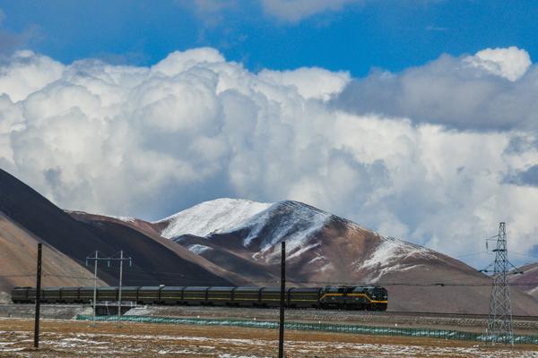 青藏高原生态保护|生物多样性守护者|生态屏障建设 图2