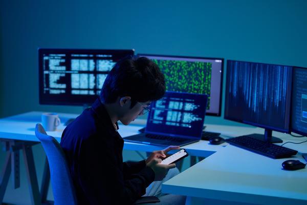 项目实施工程师的职业发展前景及行业价值分析 图1