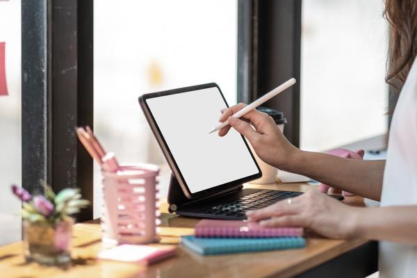 女装品牌升级方案下载文档|项目融资支持下的品牌战略转型 图1