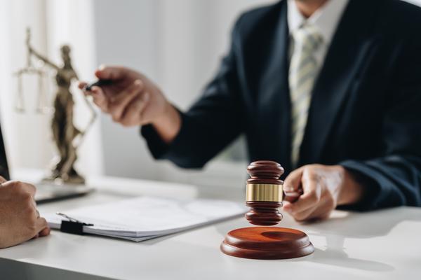 担保人被起诉|本金利息协商解纷的关键路径 图2
