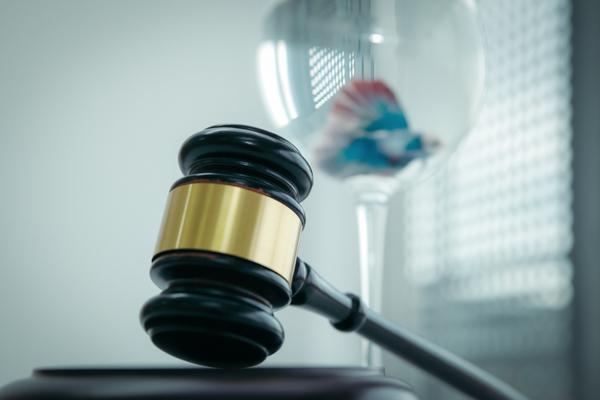 公司法务律师在现代企业治理中的核心价值 图1