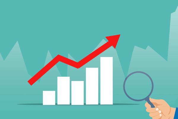 “掌握股票期权交易:如何开设并管理一个成功的帐户” 图1