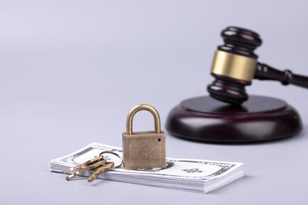 品牌融资案例分析|项目融资中的关键策略与实践 图2