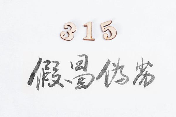 构建品牌数字营销全新生态：招商加盟方案的创新与实践
