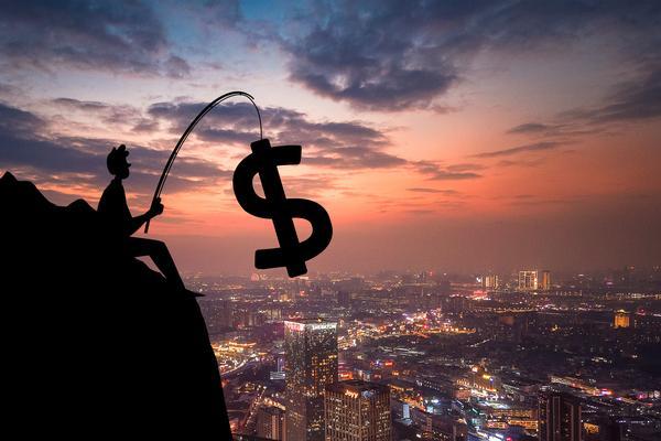 如何获取海尔商业计划书：项目融资的关键策略 图2