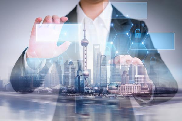 2024年国内债券市场现状与未来趋势分析 图2