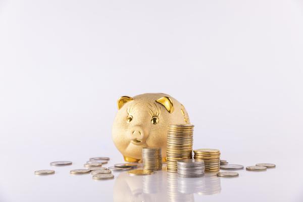 企业文化建设与项目融资成功的执行力关键 图2