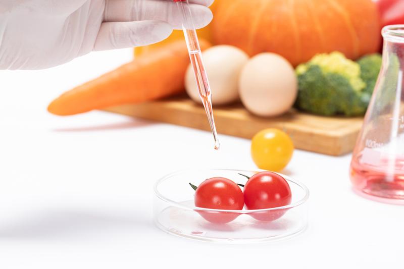 大同贫困学校食堂招标|教育扶贫与食品安全新模式 图2